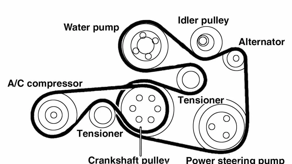 06 bmw 325i belt diagram