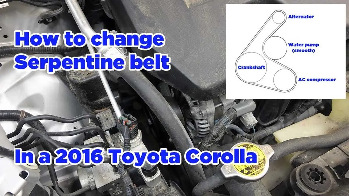 07 toyota corolla belt diagram