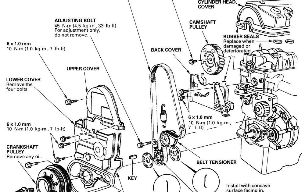 2005 honda civic belt diagram