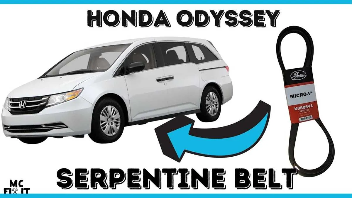 2005 honda odyssey belt diagram