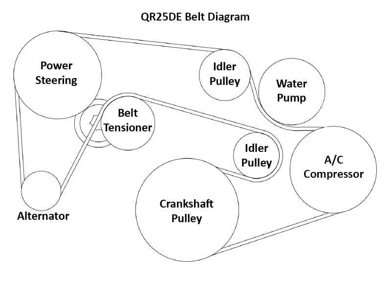 2005 nissan xterra belt diagram