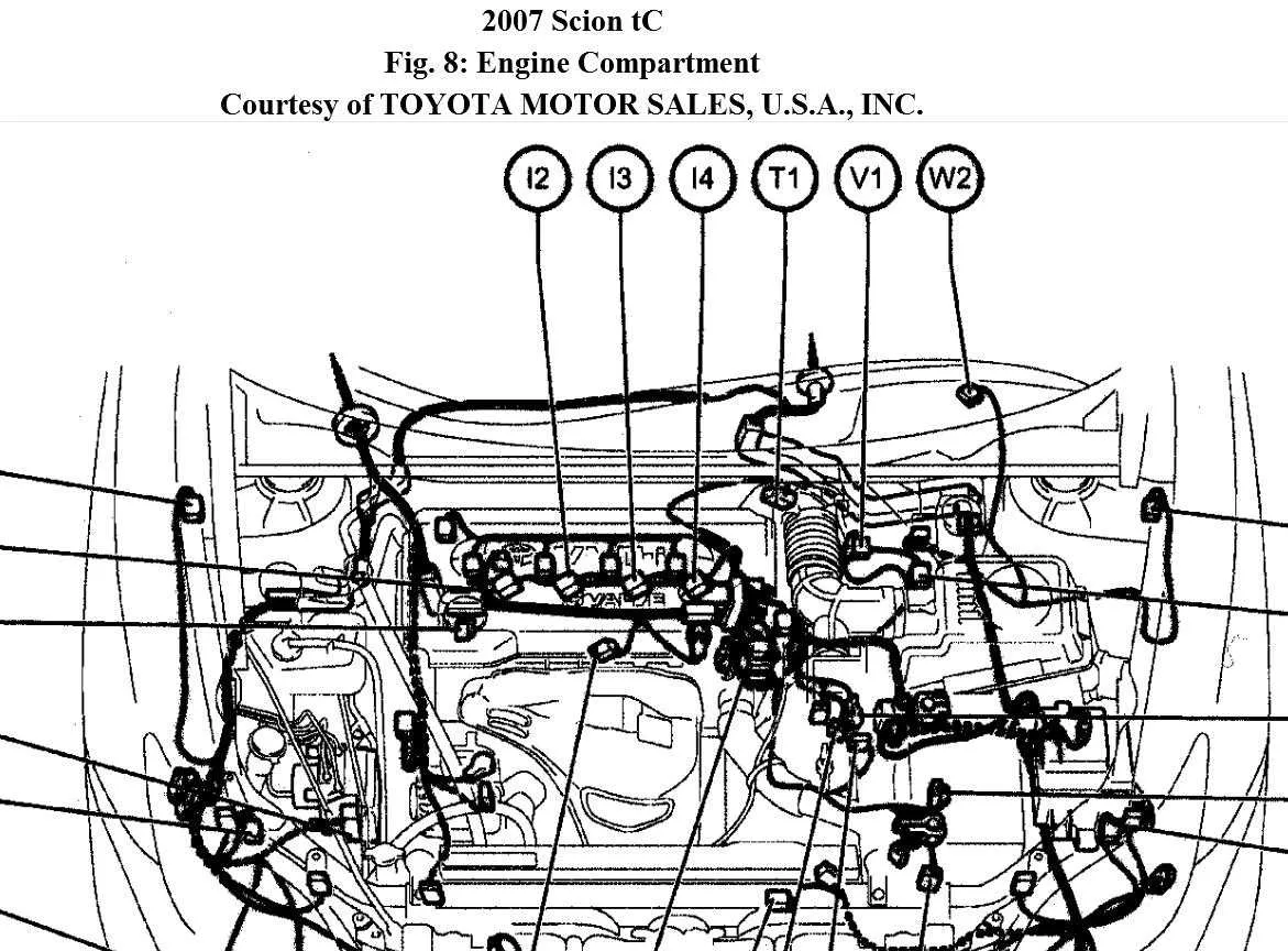 2007 scion tc belt diagram