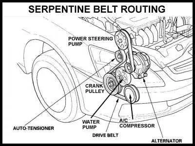2009 acura tsx belt diagram