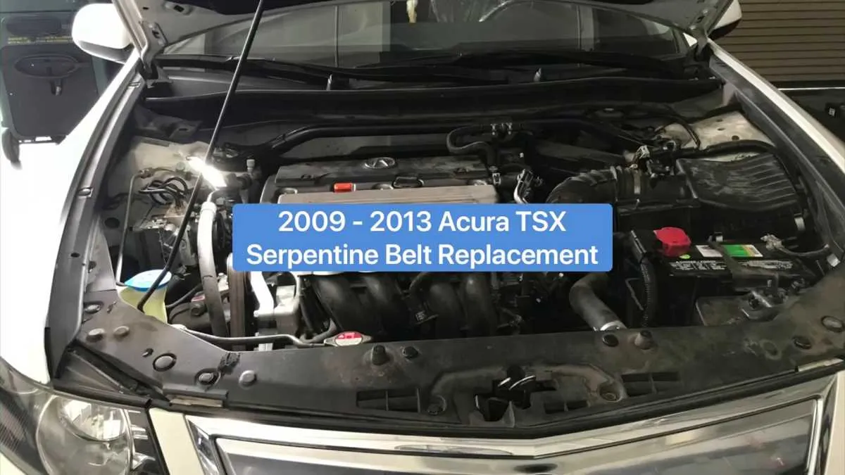 2009 acura tsx belt diagram