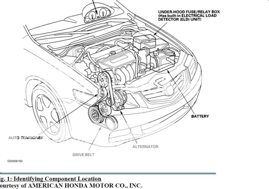 2012 acura tl serpentine belt diagram
