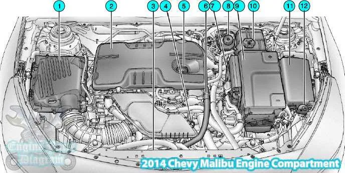 2013 chevy malibu 2.5 belt diagram