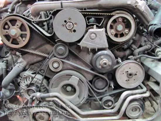 6.2 belt diagram