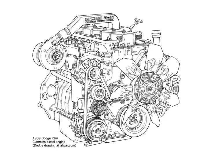 8.3 cummins belt diagram