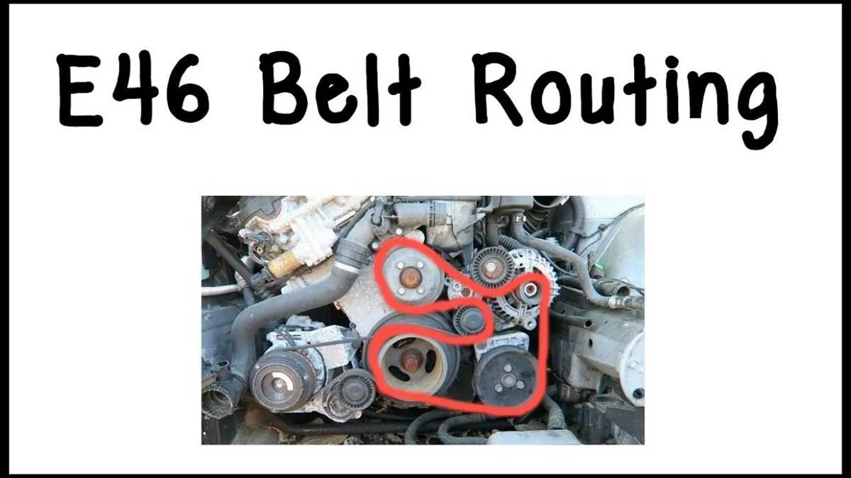 bmw e46 belt diagram