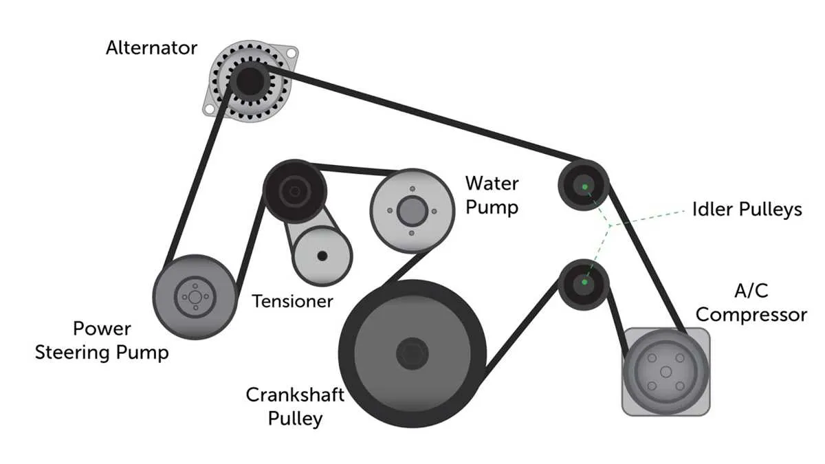 diagram for a serpentine belt