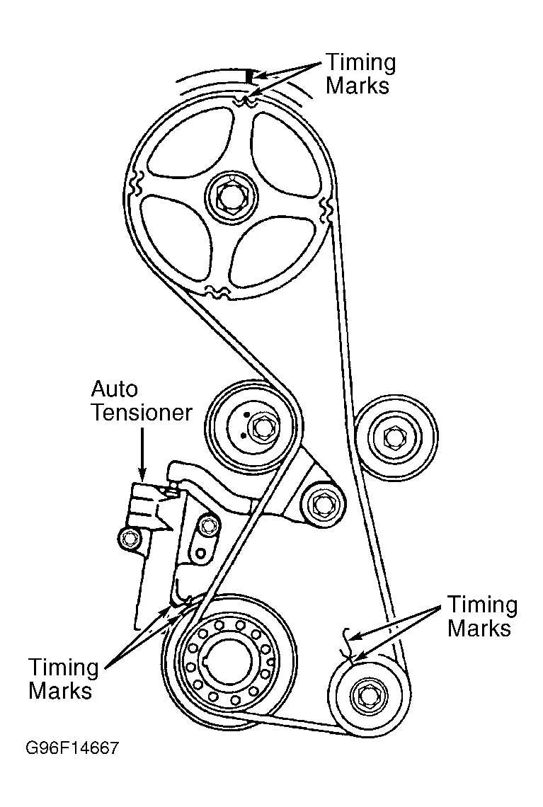 diagram timing belt