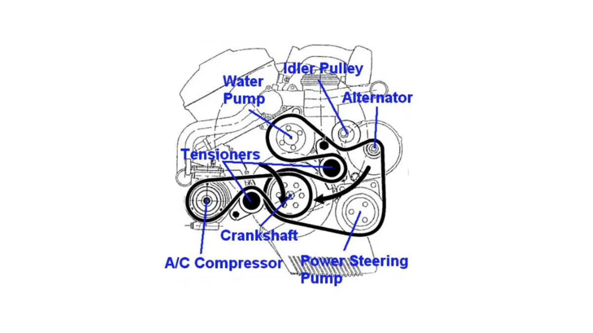 bmw e46 drive belt diagram