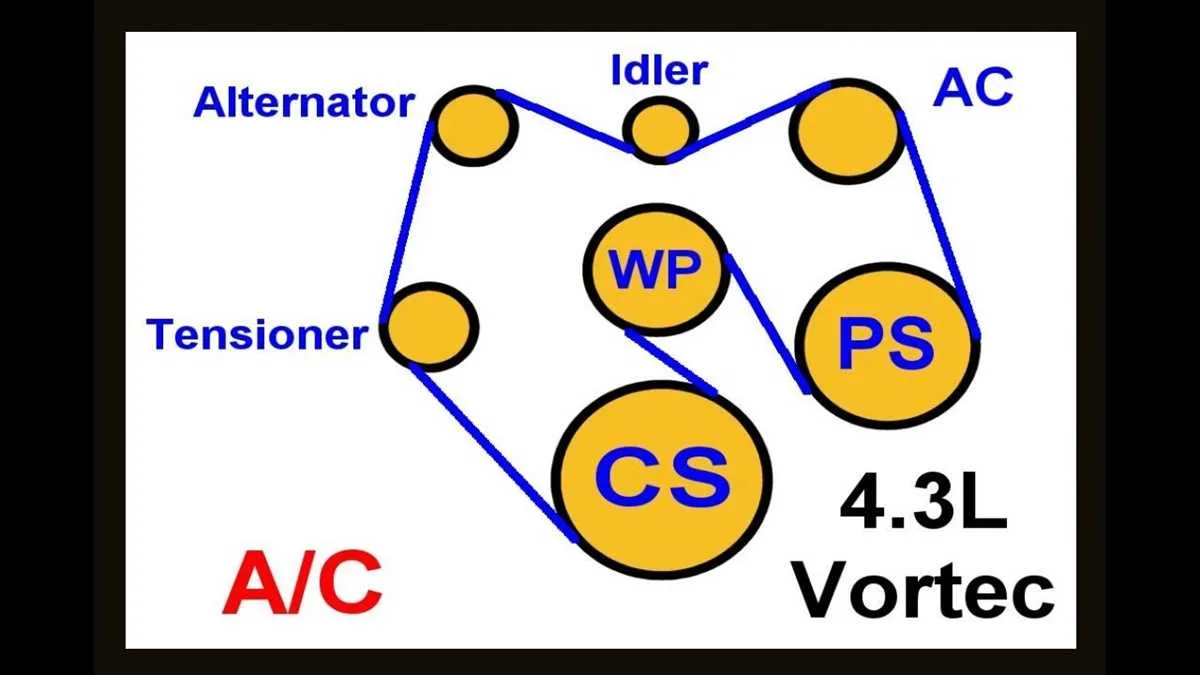 chevy 4.8 serpentine belt diagram