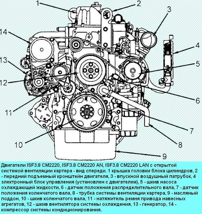 cummins 8.3 belt diagram