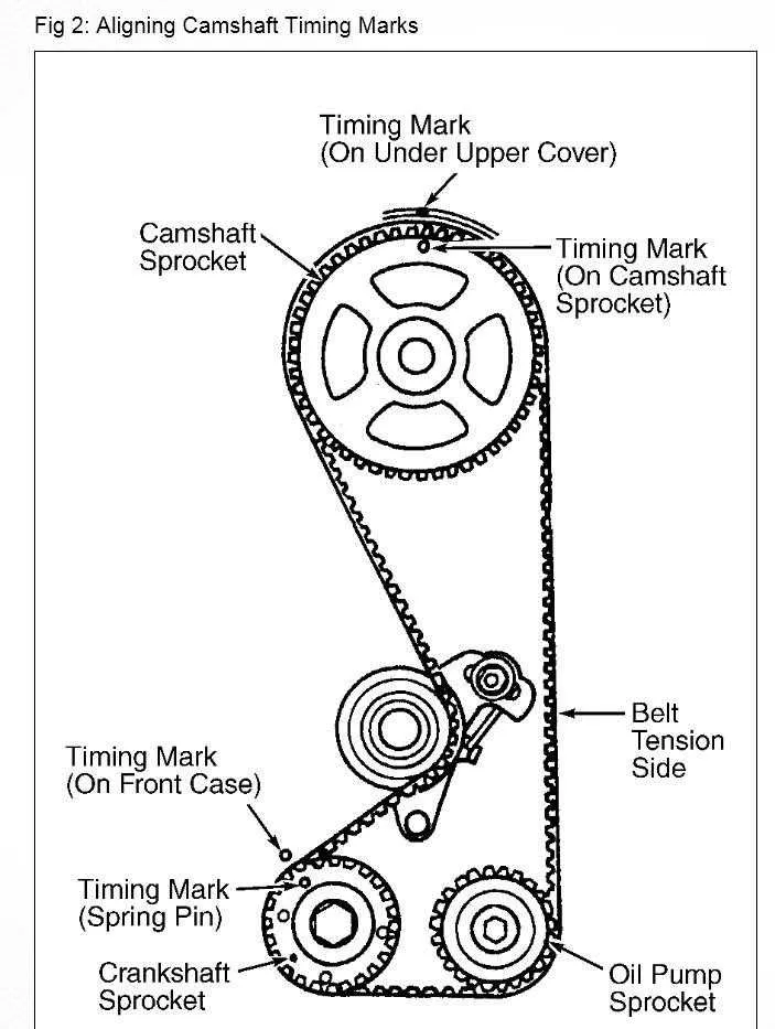 diagram timing belt