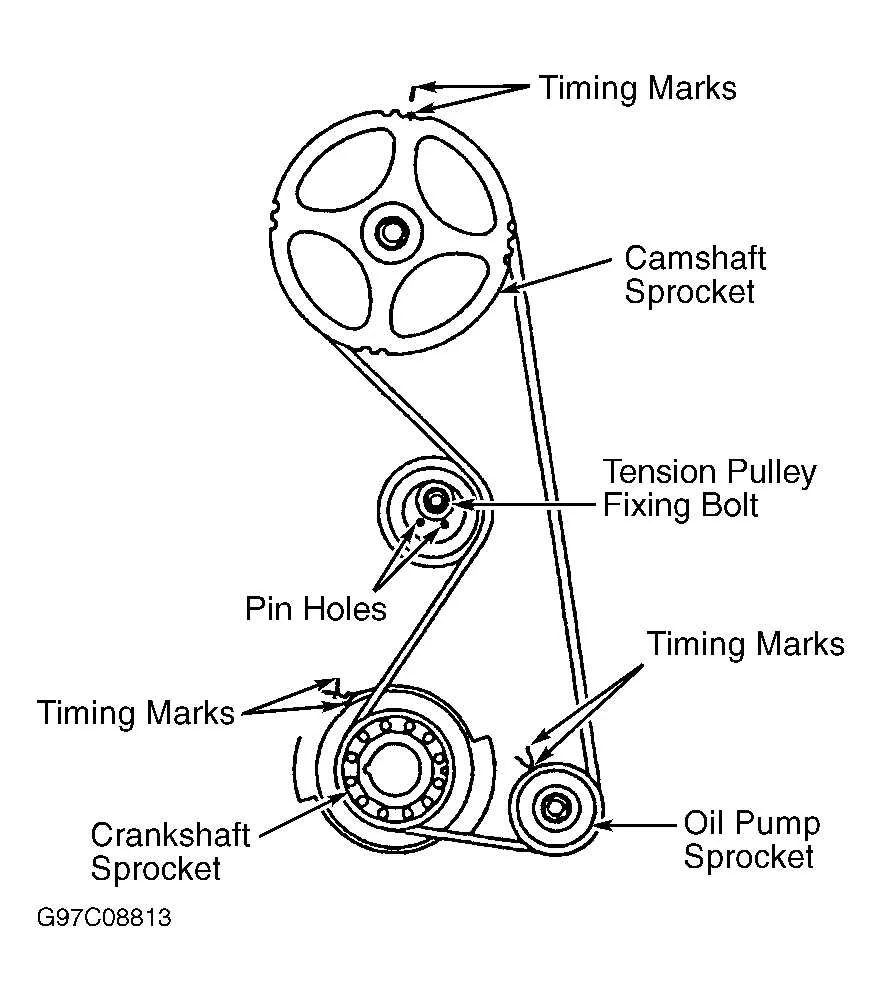 diagram timing belt