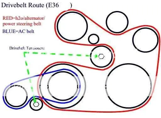 e36 belt diagram