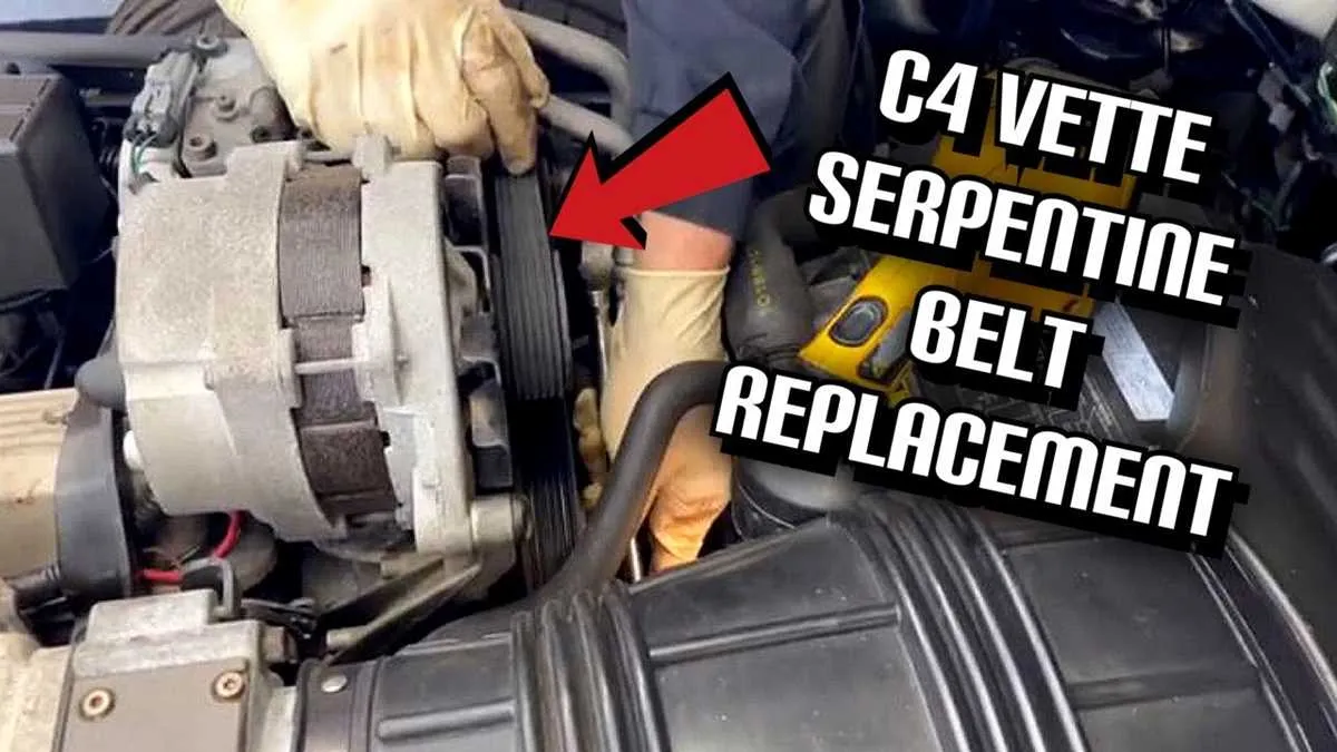 c5 corvette serpentine belt diagram